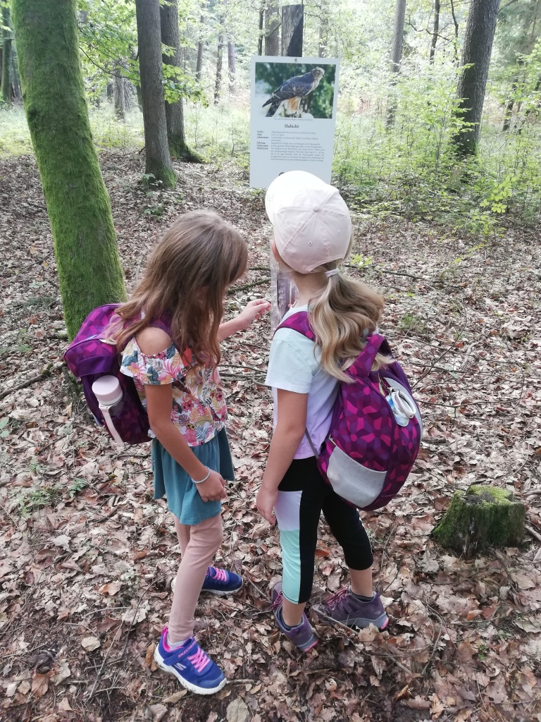 eine Gruppe von Mädchen, die in einem Wald stehen