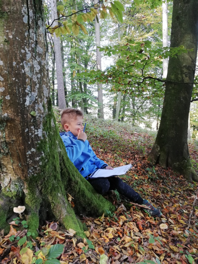 ein Junge, der in einem Baum sitzt und ein Buch liest