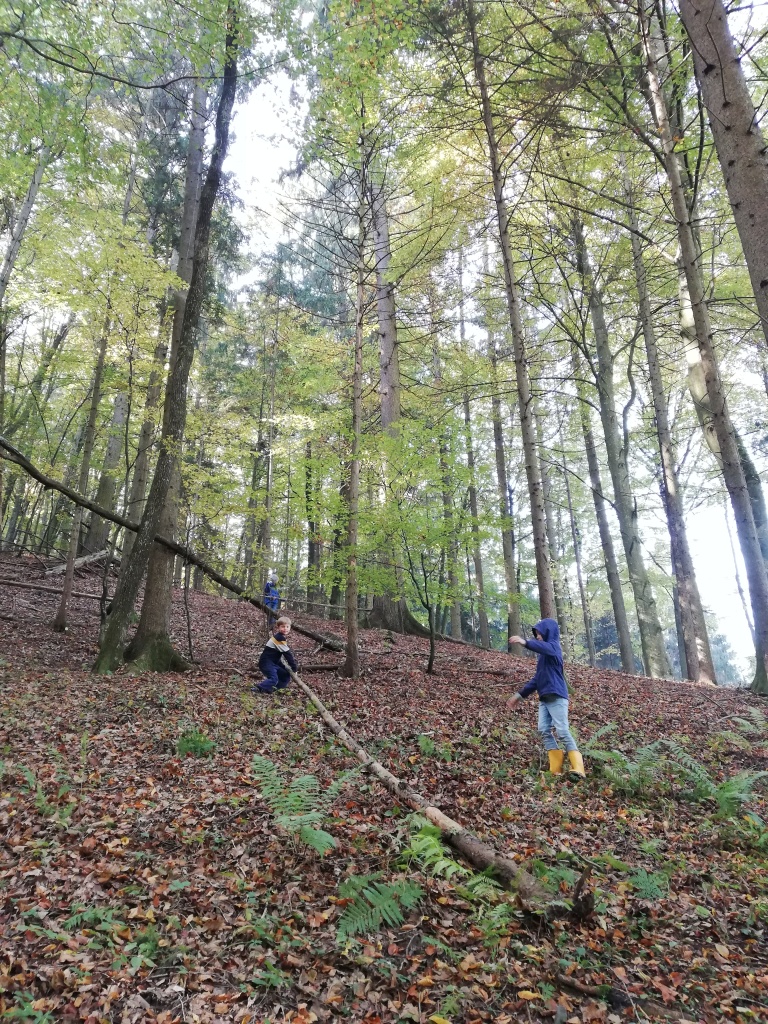 eine Gruppe von Menschen, die durch einen Wald gehen