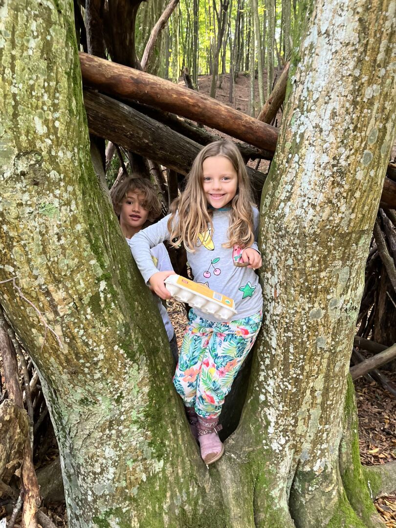 ein paar Kinder in einem Baum